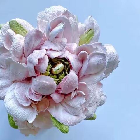 裱花基础专项课程