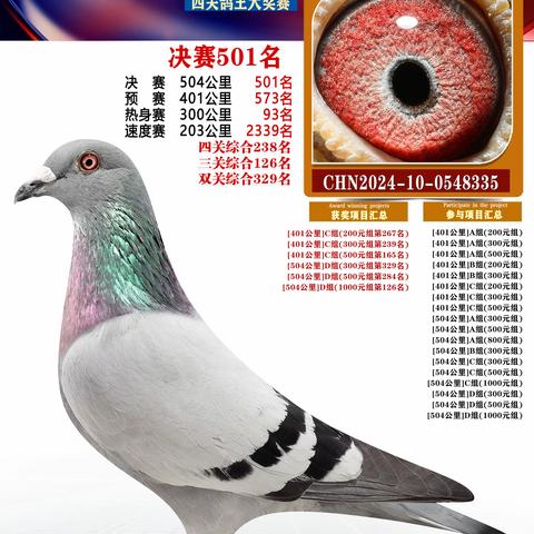 扬州福联翱翔赛鸽501-600名