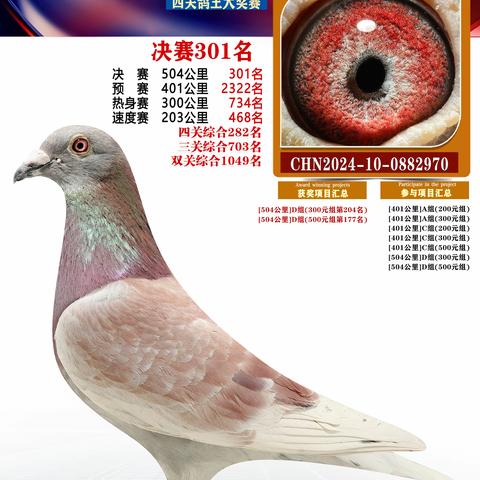 扬州福联翱翔赛鸽301-400名