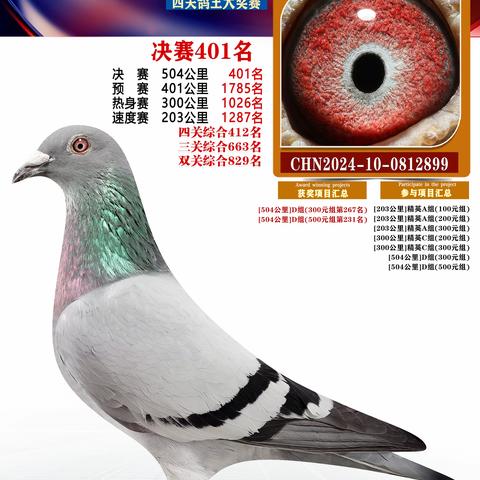 扬州福联翱翔赛鸽401-500名