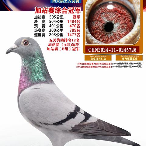 扬州福联加站1-50名