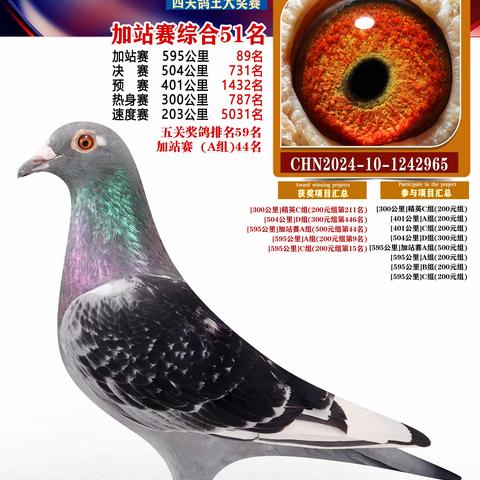 扬州福联加站51-100名