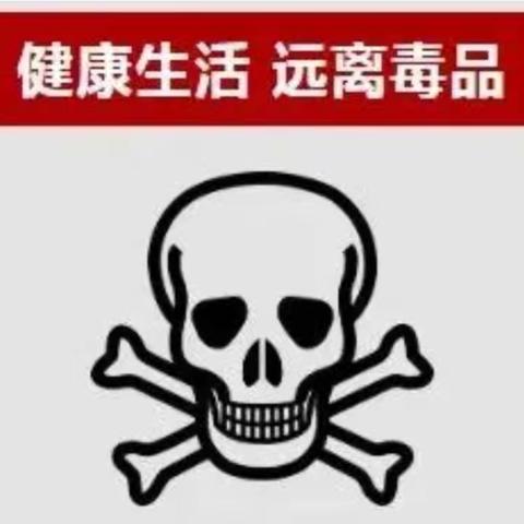 远离毒品，健康生活——第九中学禁毒教育活动