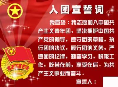 为团徽添彩，让青春闪光 ——本溪市第二十七中学新团员入团宣誓仪式