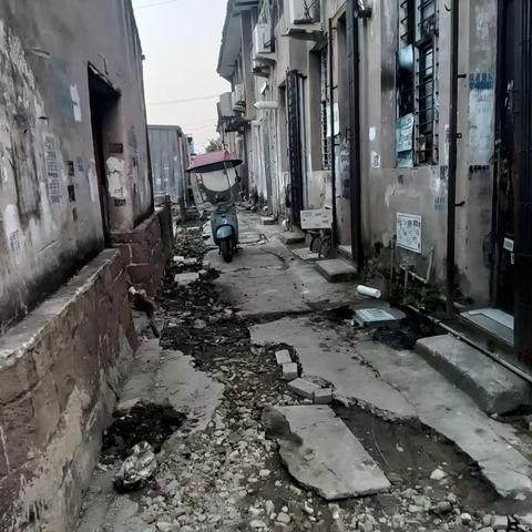 金凤社区金后环境整治道路整修2