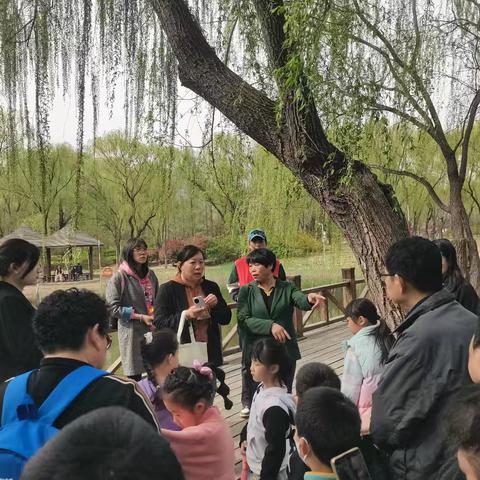 济南森林公园湖畔书屋举办清明踏青植物科普活动