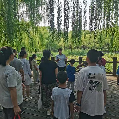 济南森林公园：探索荷文化，开启生命之旅