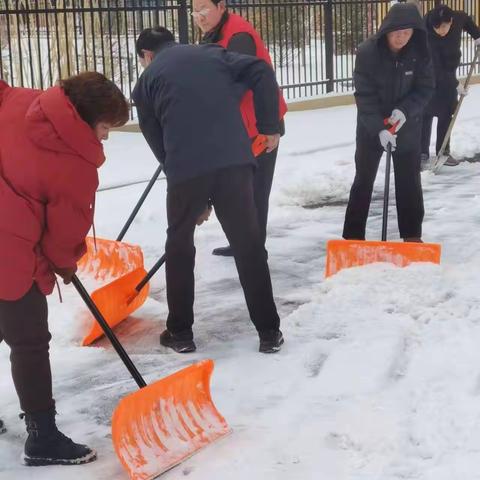 瑞雪兆丰年--范家村志愿者除雪清路志愿活动