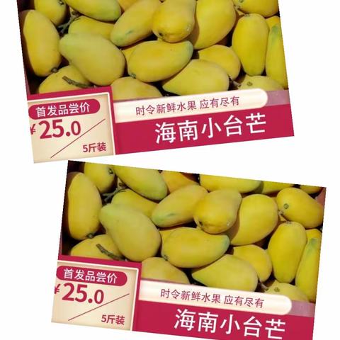 南桥庭院5月份物业工作简报