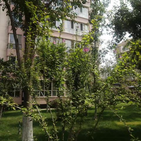 南桥庭院2024年7月份工作简报