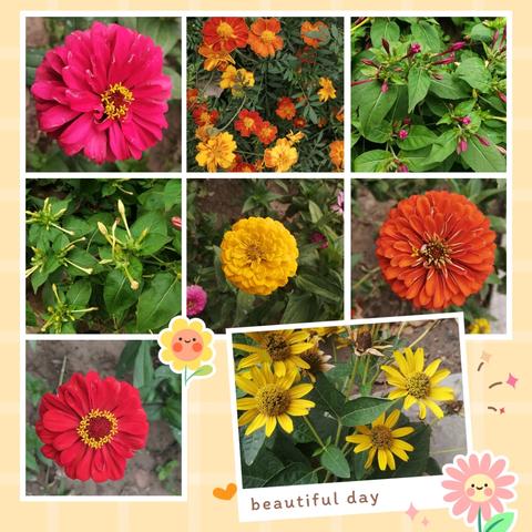 南桥庭院8月份物业工作简报