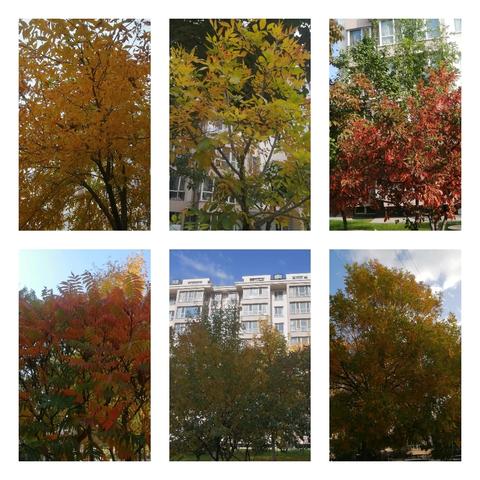 南桥庭院10月份物业工作简报