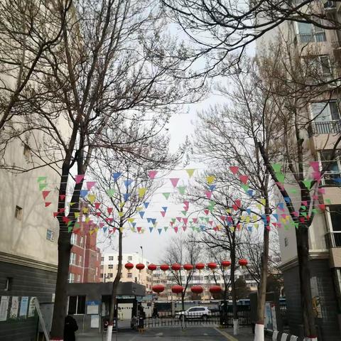 南桥庭院2月份物业工作简报