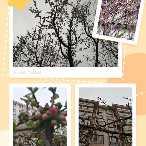 南桥庭院3月份物业工作简报