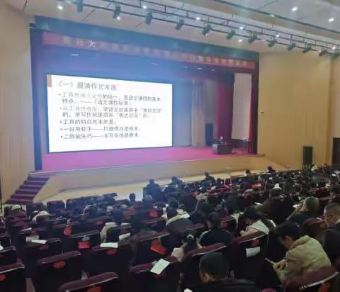 在海边聆听的文章