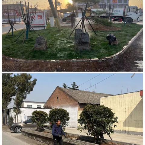 多措并举大力整治、精准施策增绿添彩——207国道府店镇区段焕新颜