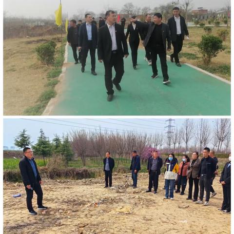 府店镇召开农村人居环境整治提升现场会