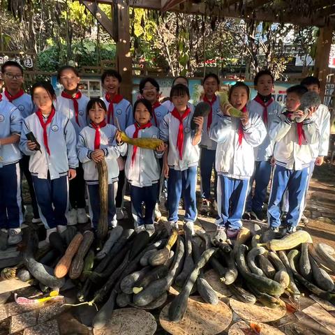 校园采摘节：在自然里收获成长的甜—广安小学采摘节