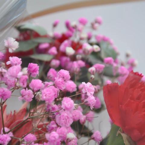 不负春光，为梦起航——送庄镇初级中学春季开学典礼暨表彰大会