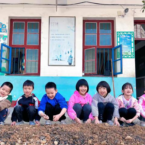 种菜吧，少年！——高坪镇车下小学劳动教育基地实践纪实