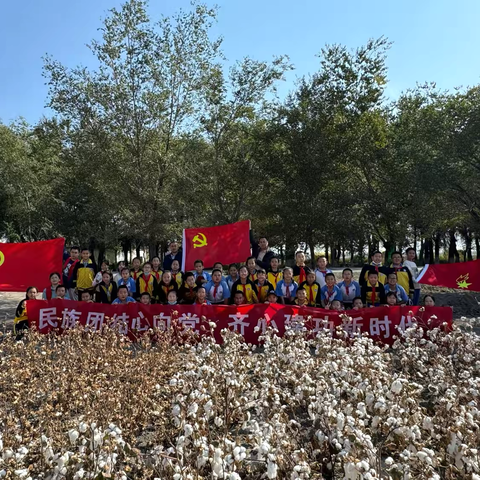 十一师第三中学民族团结一家亲“秋收小农人”—“棉花朵朵” 活动