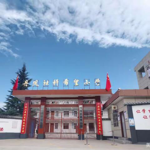 “跟着名师学上课”——龙驹中心小学“每周一课”教研活动