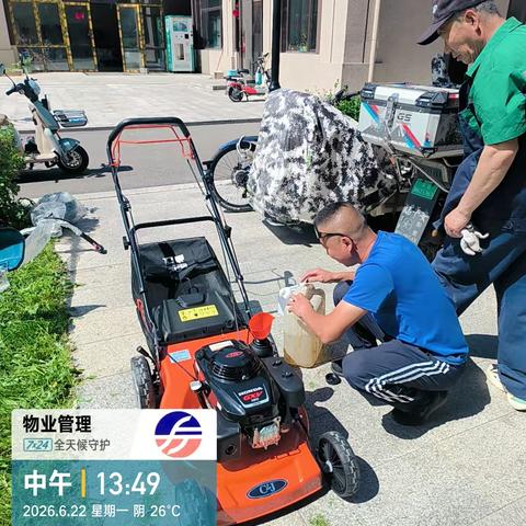 民乐福园小区园区修剪绿化打草修剪造型树