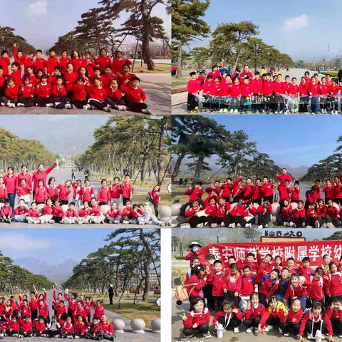 《泰山娃·四季行》之春·启行 ——泰安师范附属学校幼儿园大班踏春活动纪实