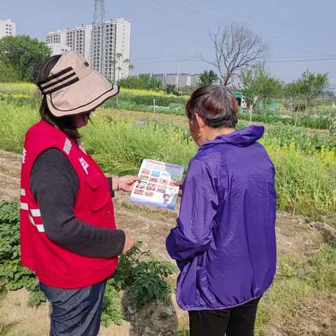 禁止种植罂粟宣传