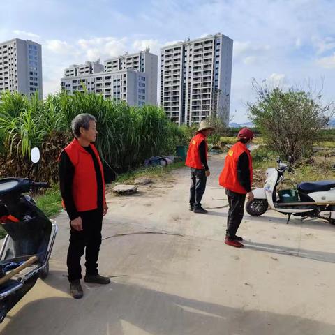 秸秆焚烧巡查工作纪实：守护城市边缘的绿色防线