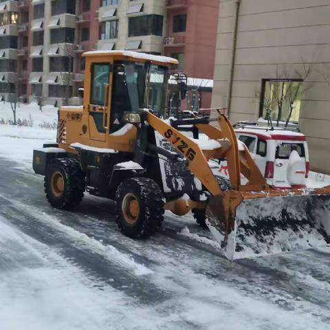 情暖冬日 清雪护行——大孙家村开展清雪除冰活动