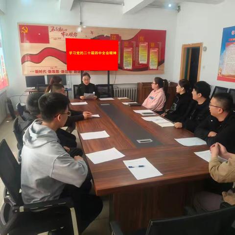 机关青年深学细悟党的二十届 四中全会精神 凝聚奋进力量