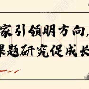 专家引领明方向，课题研究促成长——第二小学召开王艳辉主任指导课题研究视频推进会