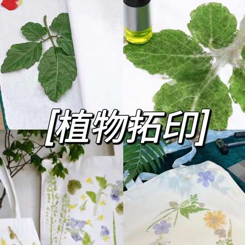 【中海太华府社区】定格植物之美，敲敲留住大自然