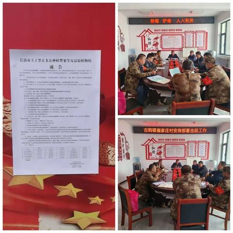 古韩镇4月6日工作动态