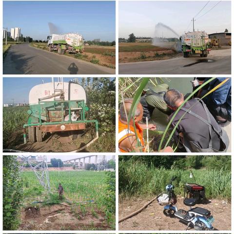 古韩镇6月23日工作动态