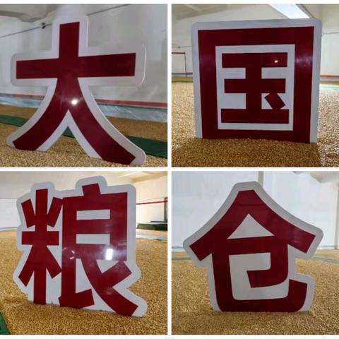 走进中储粮，走近“大国粮仓” ——城南小学劳动月之参观中储粮实践活动