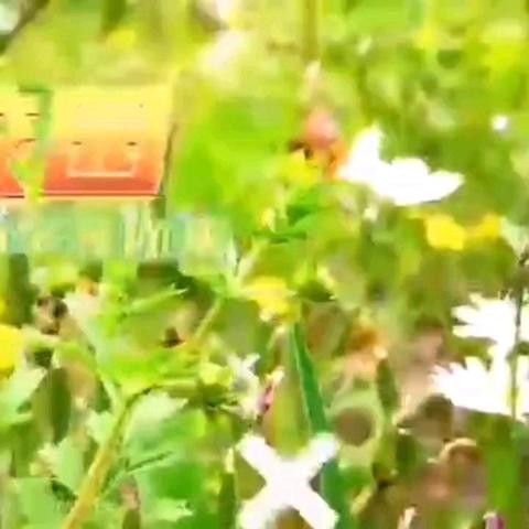 太平区城南小学招生简章