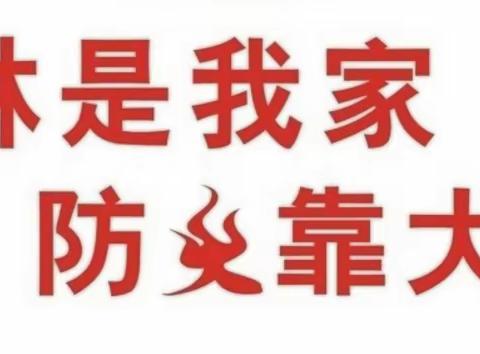 【春节我在岗】铁坝保护站压实责任、严控火源，切实加强森林防火工作