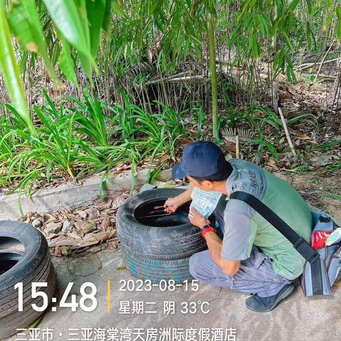 三亚天房洲际酒店关于2023年08月15日开展《清洁家园防蚊灭蚊》夏秋季爱国卫生百日专项行动报告
