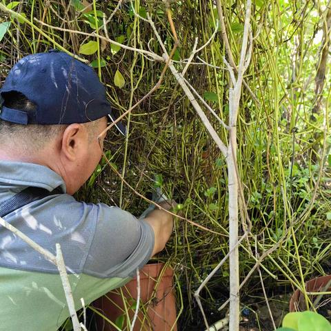 三亚海棠湾亚特兰蒂斯棠岸