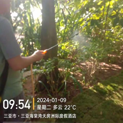 三亚海棠湾天房洲际度假酒店关于2024年01月09日深入开展《关于认真抓好杀灭越冬成蚊》第三轮清理蚊媒孳生地行动报告