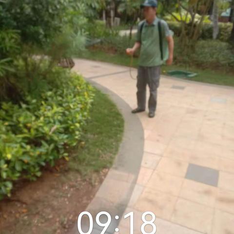 三亚海棠湾天房洲际度假酒店关于2024年01月10日深入开展《关于认真抓好杀灭越冬成蚊》第三轮清理蚊媒孳生地行动报告