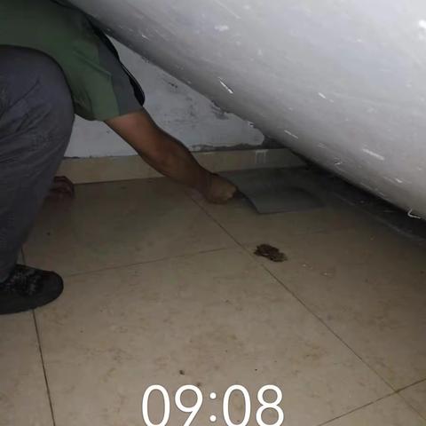 3月15日～19日三亚海棠湾天房洲际酒店关于开展春季灭"四害"专项行动的部份图片