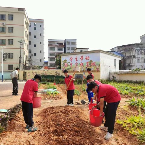 纸上得来终觉浅，绝知此事要躬行｜罗定第四中学2023年秋季开展学生劳动实践活动