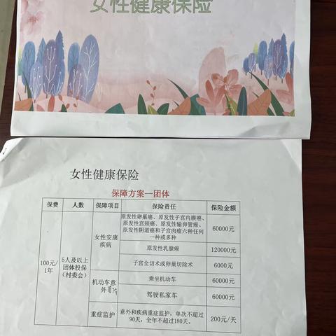 网格员入户宣传“两癌”保险 为妇女健康保驾护航