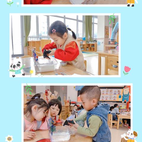 小小树苗🌱大大梦想