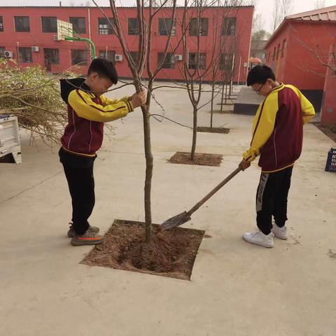 十年树木，百年树人——东钓鱼台小学播种绿色收获希望植树活动