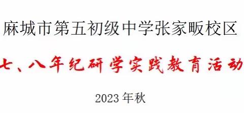 研学促成长，逐梦向未来——第五初级中学张家畈校区学生研学实践活动