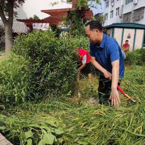 紧抓杂草清理 助力人居环境整治